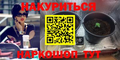 прущие грибы Гусь-Хрустальный