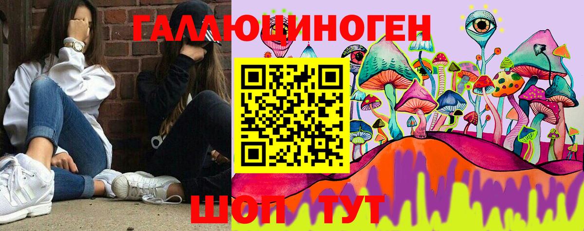 Псилоцибиновые грибы Psilocybe Набережные Челны