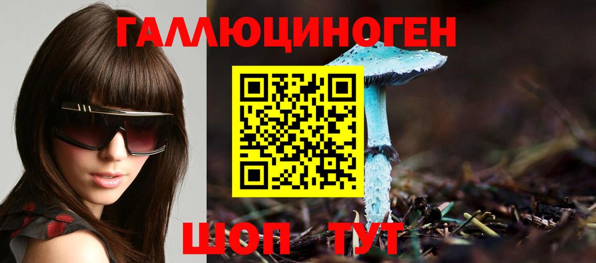 Псилоцибиновые грибы прущие грибы  Вход с VPN  Набережные Челны 